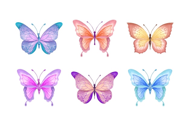 Premium Vector | Set of elegant lovely colorful butterflies