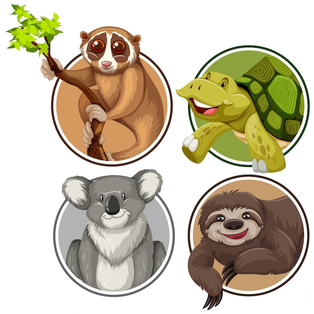 Premium Vector | Set of exotic animals in circle banner