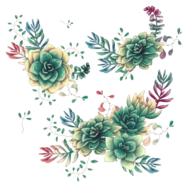 Set of floral succulents compositions in hand draw style. Premium Vector