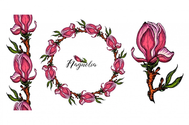 Download Set of flower arrangements with magnolia flowers | Premium ...