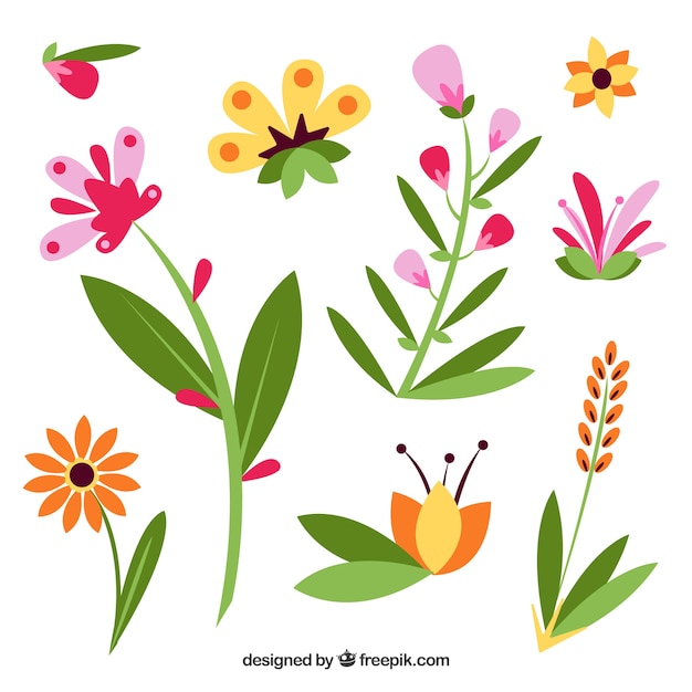 Set of flowers in flat design | Free Vector