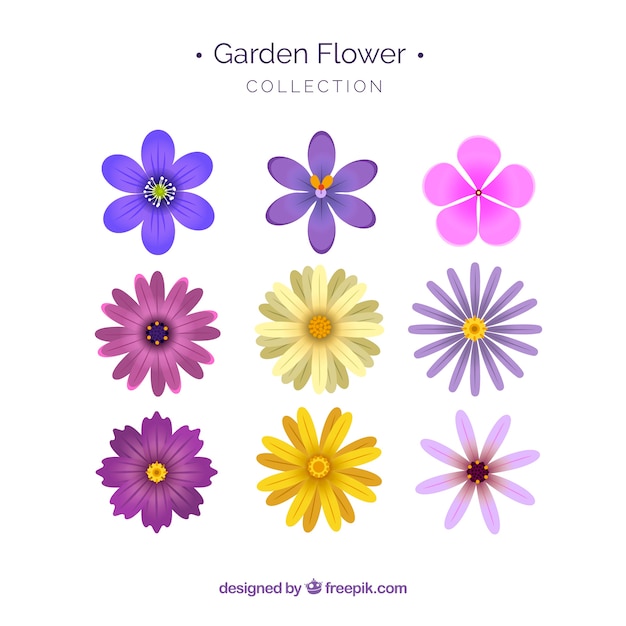 Free Vector | Set of flowers in flat style