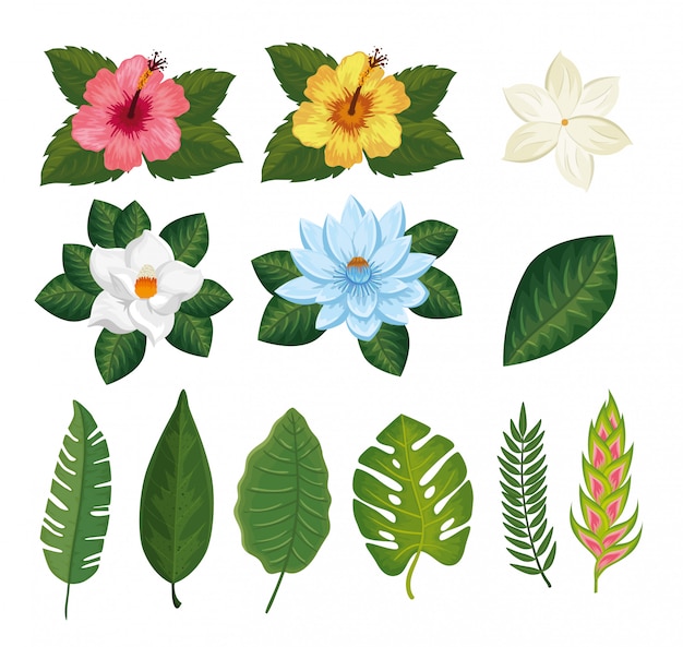 Premium Vector | Set of flowers and leafs tropicals