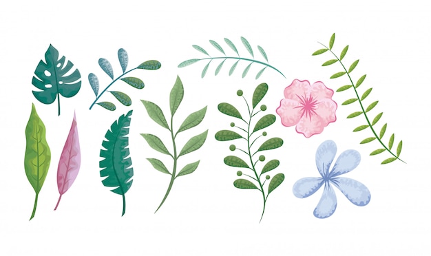 Premium Vector | Set of flowers and leaves and plants