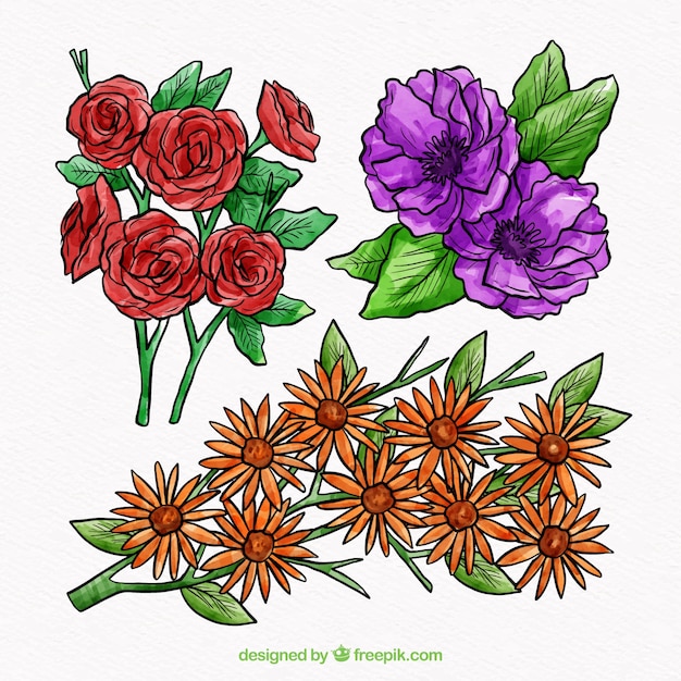 Set of flowers  in watercolor style  Free Vector 