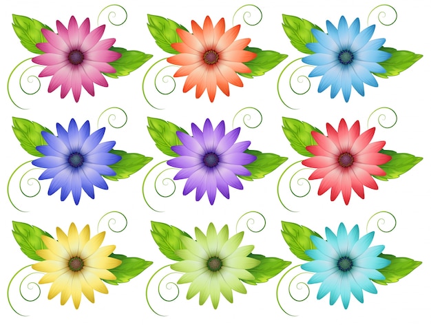 Free Vector | Set of flowers