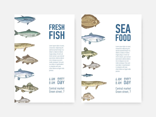 Premium Vector | Set of flyer or poster templates with fish