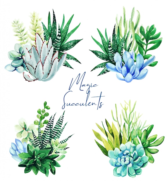 Download Set of four bright watercolor succulent plants bouquet | Premium Vector