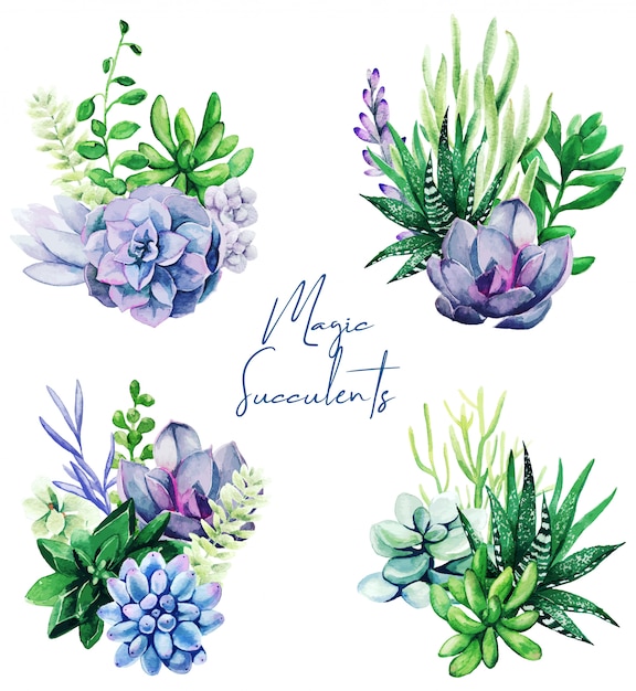 Download Set of four bright watercolor succulent plants bouquet | Premium Vector