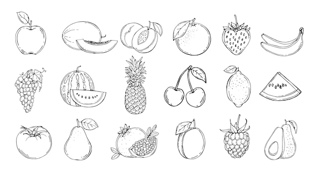 Premium Vector Set Of Fruits Vector Illustration Hand Drawn