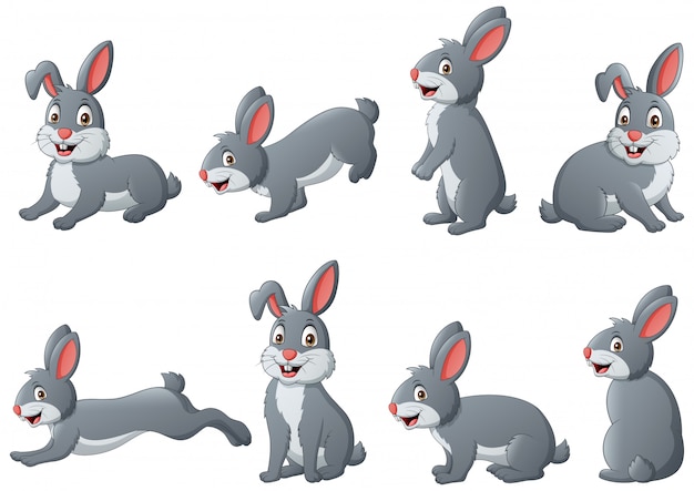 Premium Vector | Set of funny rabbit cartoon. illustration