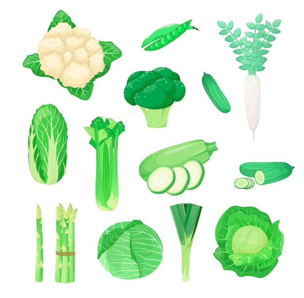 Premium Vector | A set of green vegetables on a white background ...