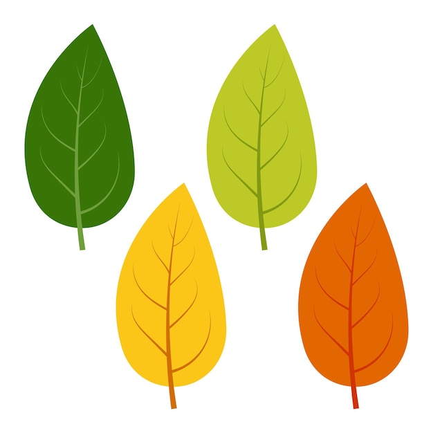 Premium Vector | Set of green, yellow and red leaves isolated on white ...