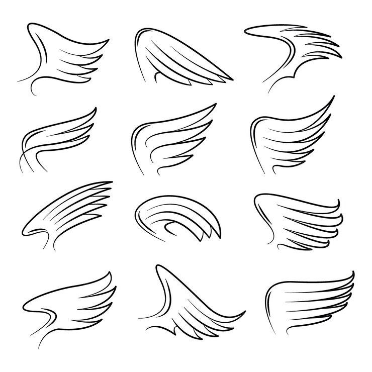 Premium Vector | Set of hand drawn bird wings vector