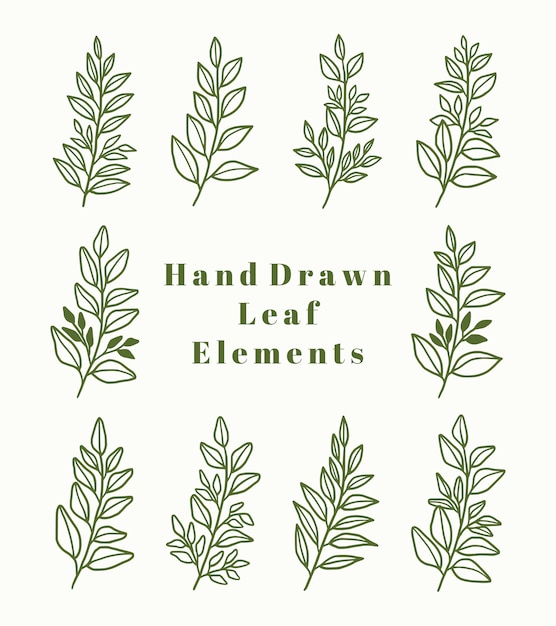 Download Premium Vector Set Of Hand Drawn Botanical Leaf Logo Element