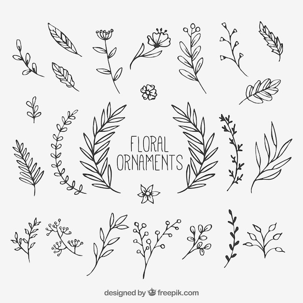 Download Free Vector | Set of hand drawn decorative leaves