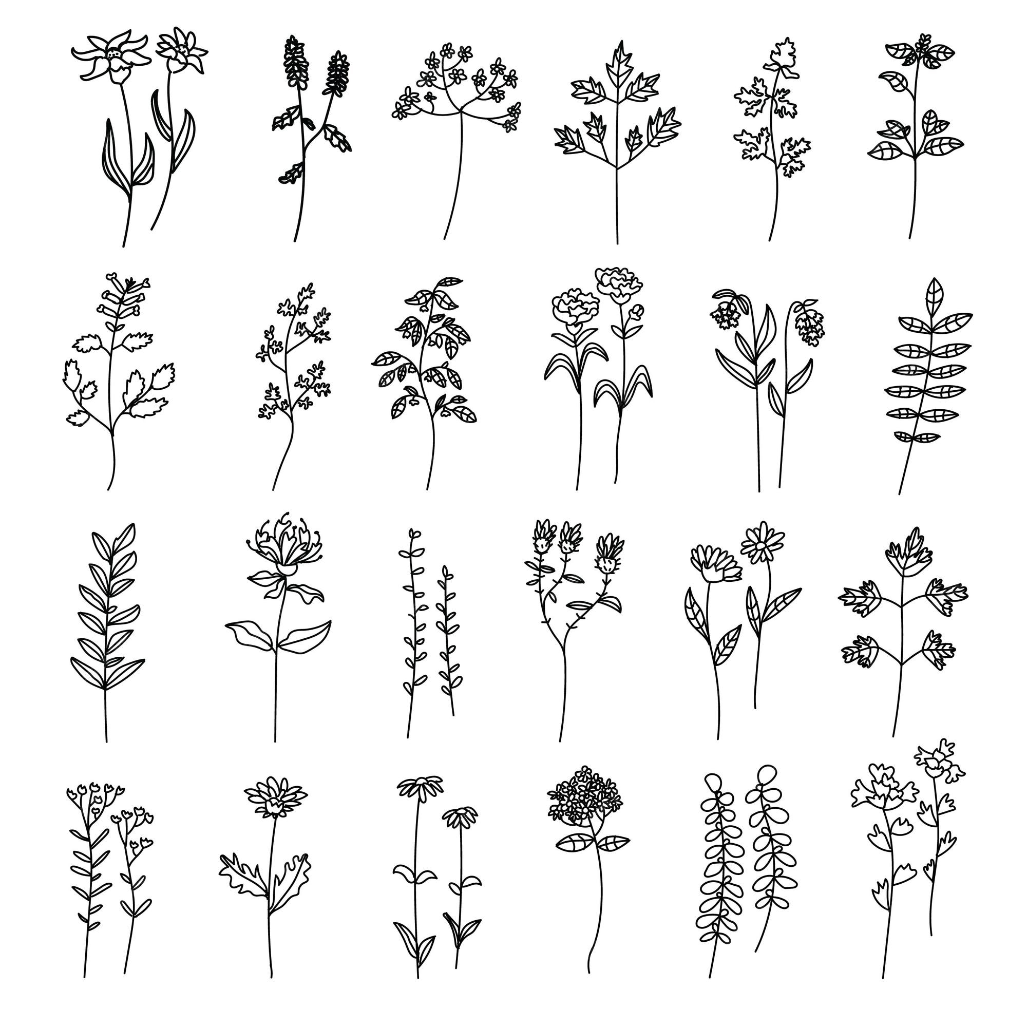 Premium Vector | Set of hand drawn feminine minimalist botanical doodle ...