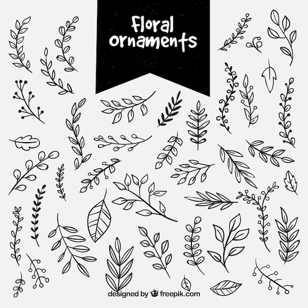 Download Set of hand drawn floral ornaments | Free Vector