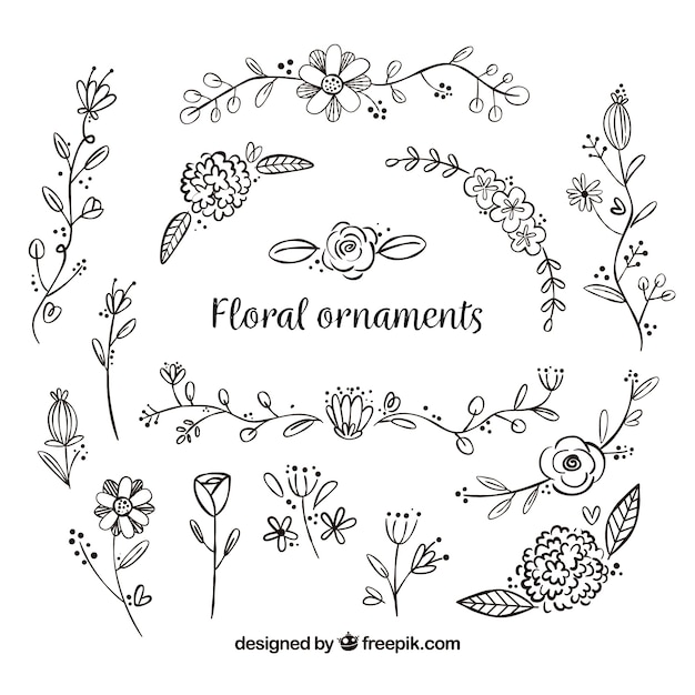 Download Free Vector | Set of hand drawn flower ornaments