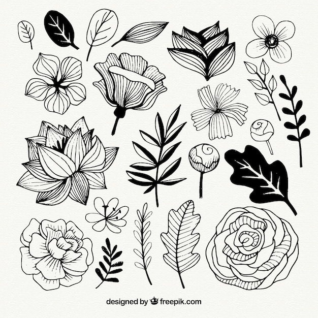 Free Free 195 Hand Drawn Flower Svg SVG PNG EPS DXF File