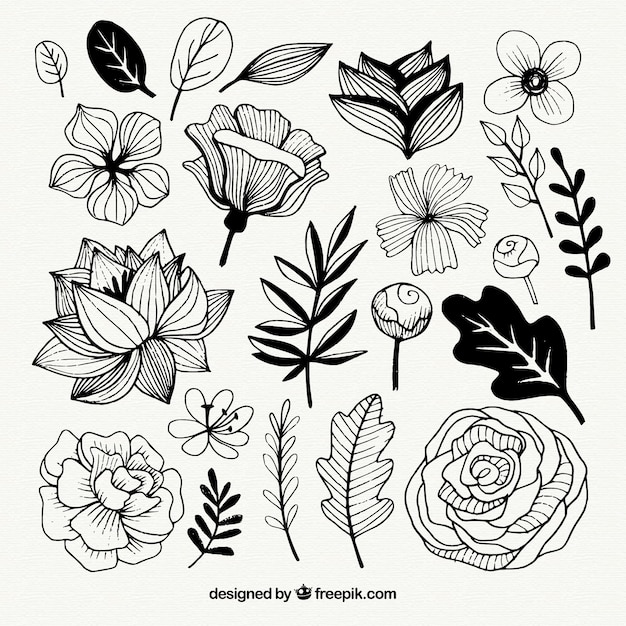 Free Free 340 Hand Drawn Flower Svg Free SVG PNG EPS DXF File