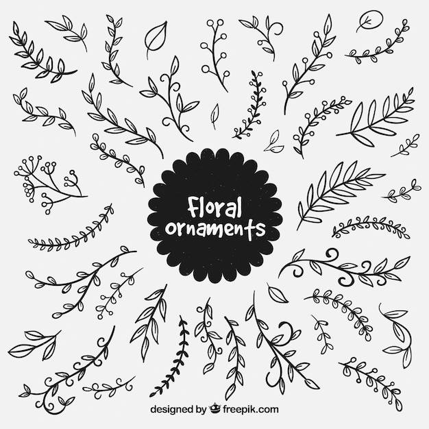 Download Set of hand drawn leaf ornaments Vector | Free Download