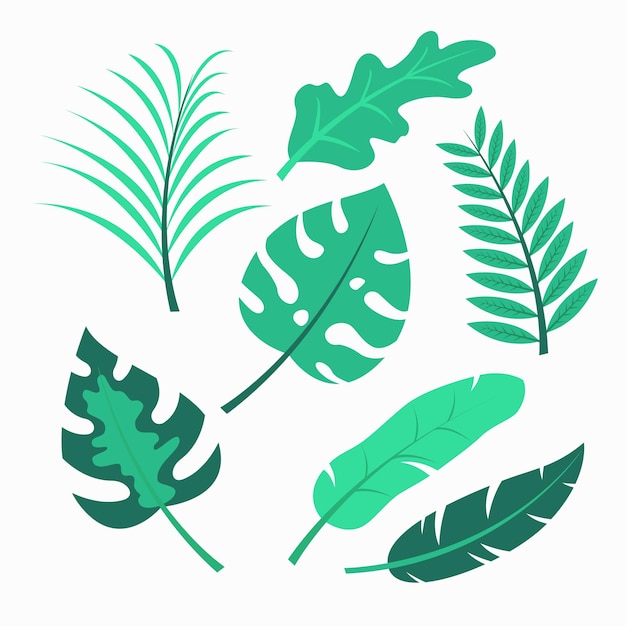 Premium Vector | Set of hand drawn leaves