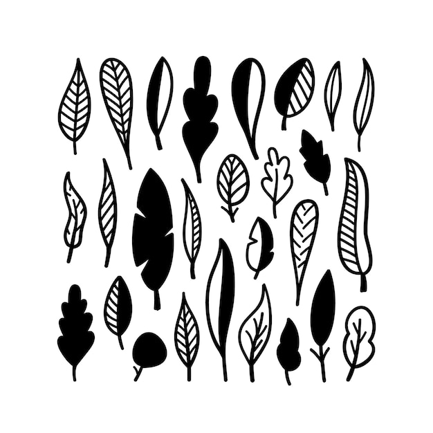 Premium Vector | Set of hand drawn natural black leaves