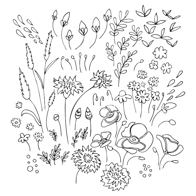 Premium Vector | Set of hand drawn outline plants black and white ...