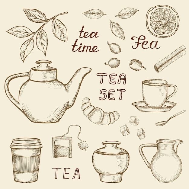 Premium Vector | Set of hand drawn tea icons isolated on vintage background