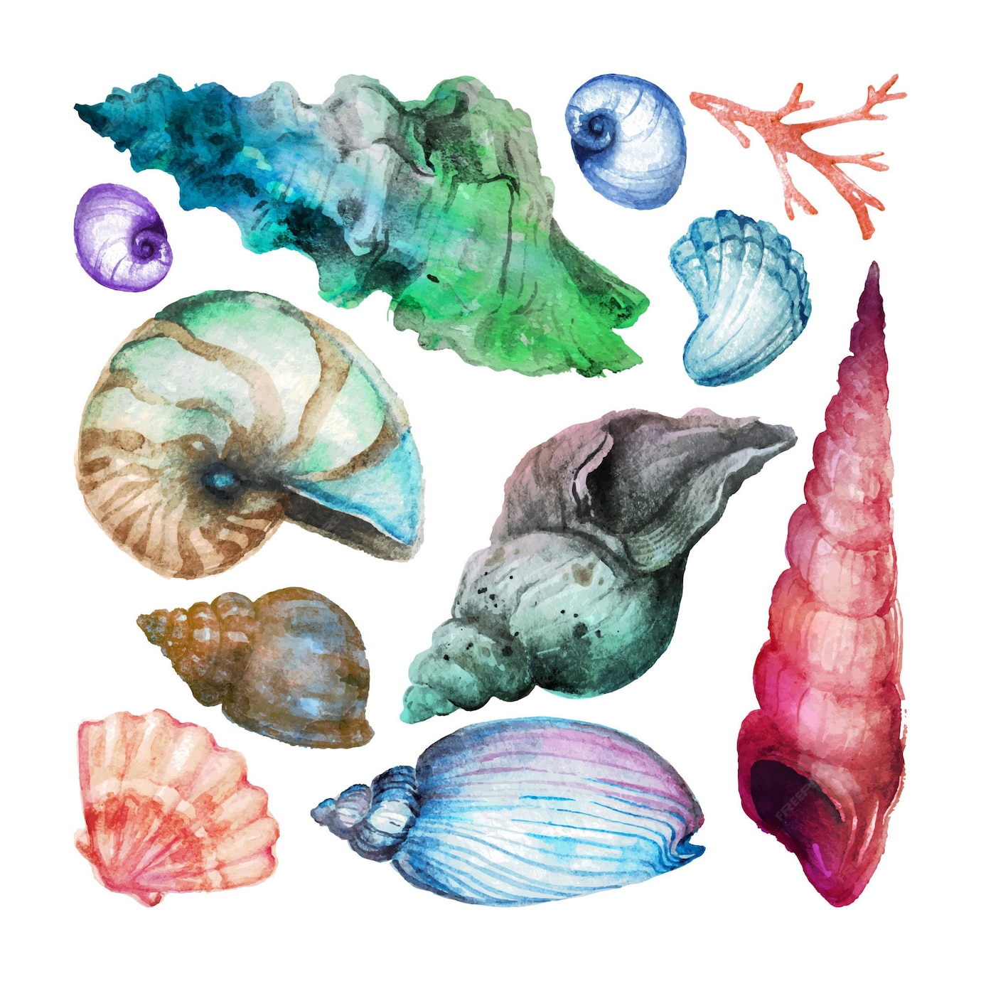 Premium Vector | Set of hand drawn watercolor sea shells collection