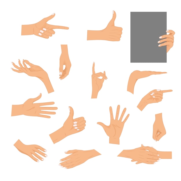 Set hands in different gestures isolated. colored hand ...