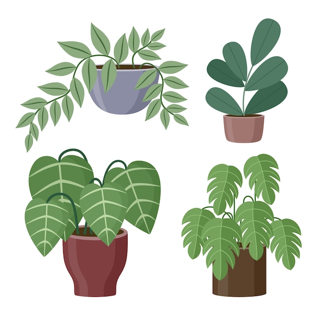 Premium Vector | Set of house plants