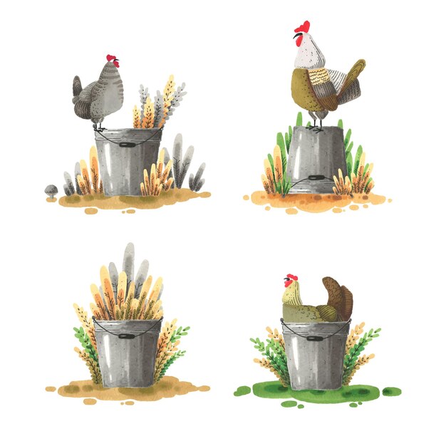 Premium Vector | A set of illustrations with a chicken and a bucket.