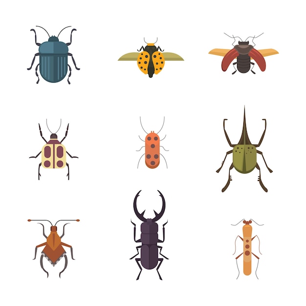 Premium Vector | Set of insects flat style vector design icons ...