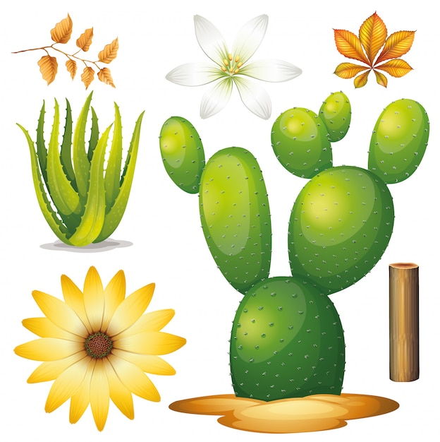 Set of isolated objects theme gardening Free Vector