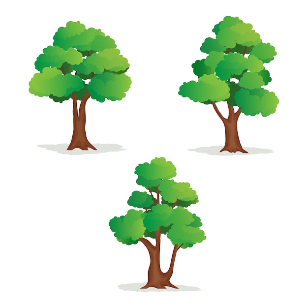 Premium Vector | Set of isolated tree illustration on white background.