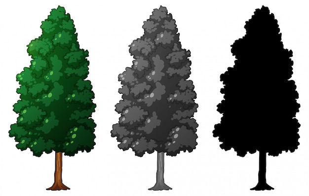 Set of isolated tree | Free Vector