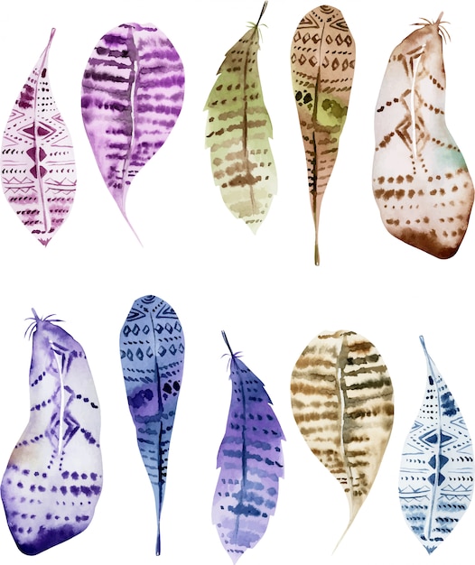 Download Set of isolated watercolor owl feathers Vector | Premium ...