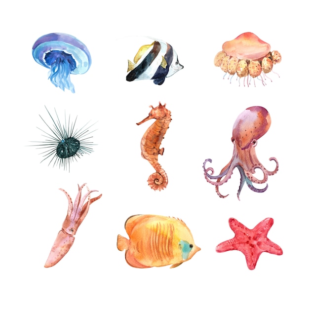 Free Vector | Set of isolated watercolor sea animal