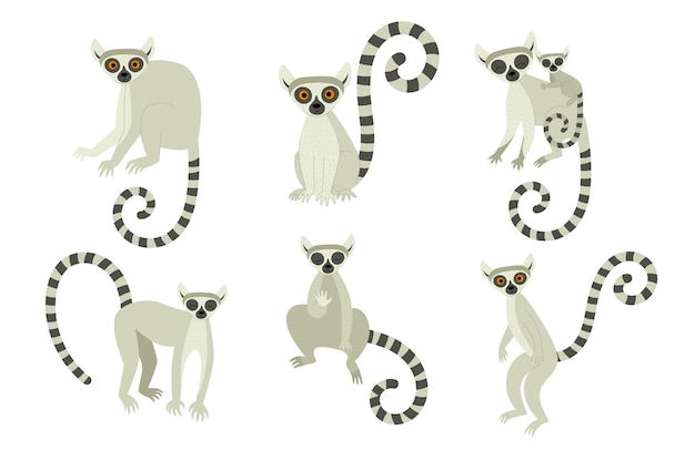 Premium Vector | A set of lemurs in different poses. exotic cute ...