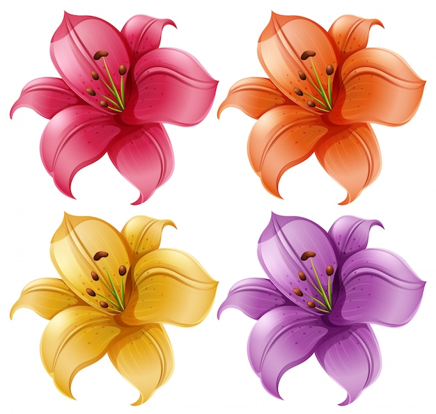 Free Free Lily Flower Svg Free 161 SVG PNG EPS DXF File