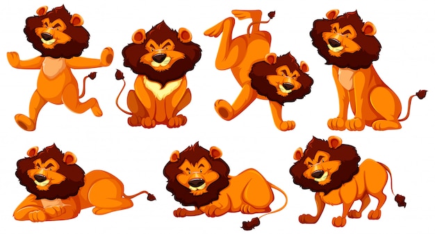 Set Di Personaggio Dei Cartoni Animati Di Leone Vettore Gratis