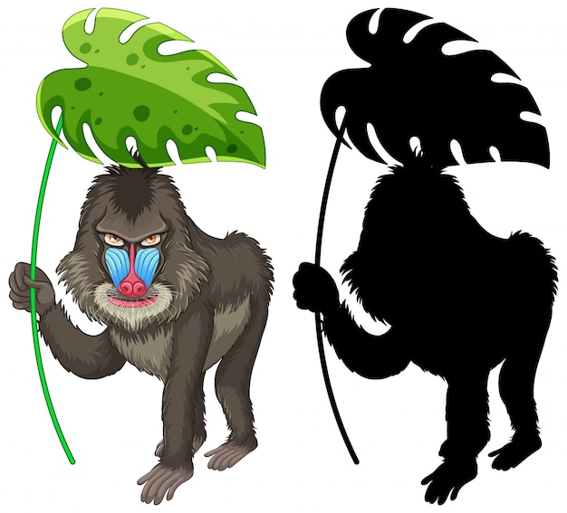 Premium Vector Set of mandrill cartoon and its silhouette