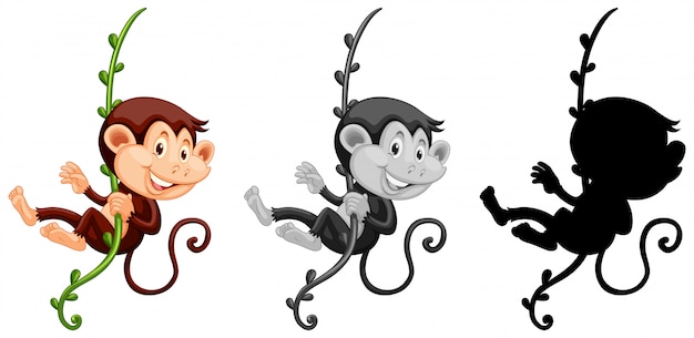 Download Set of monkey hanging on vine | Free Vector