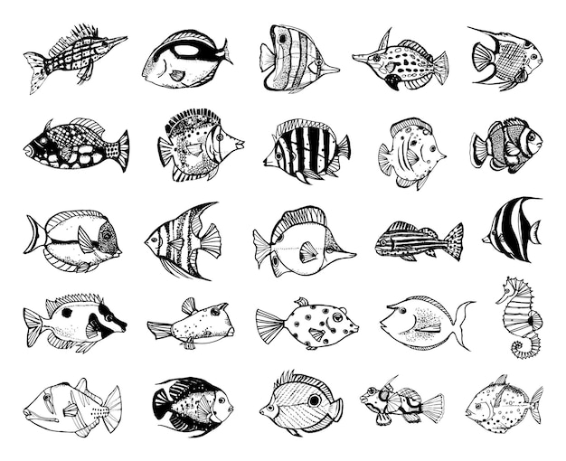 Premium Vector | Set of monochrome illustrations of fishes