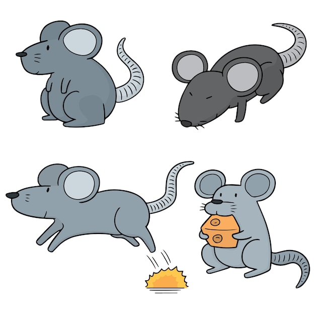 Premium Vector | Set of mouse