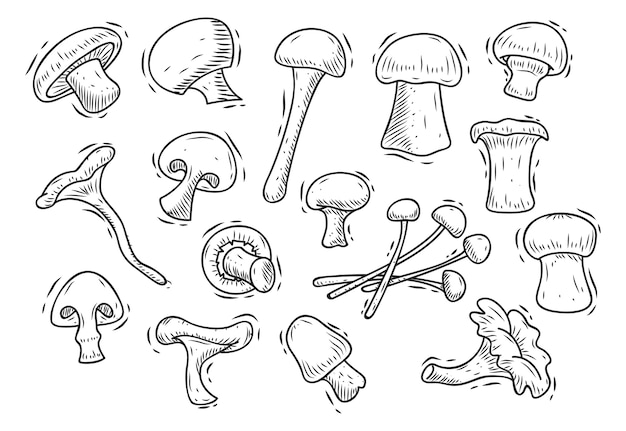 cute mushroom doodles