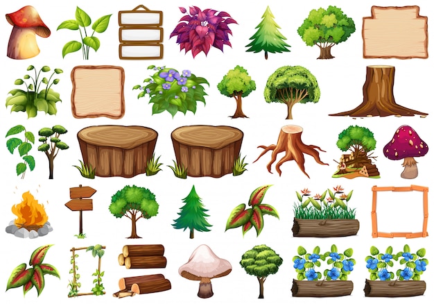 Set of nature element for decor Premium Vector