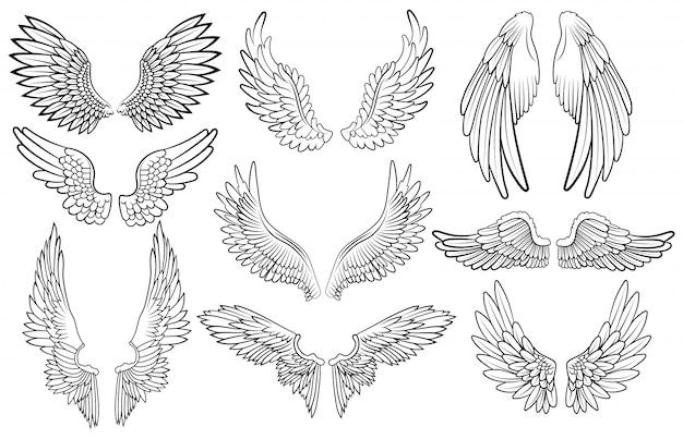 天使の羽のセットです 羽のある翼のコレクション 黒白いイラスト プレミアムベクター